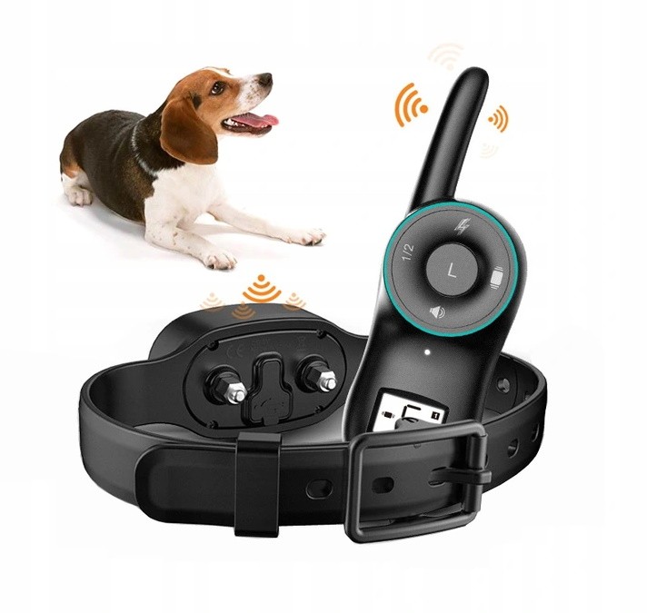 18f296d94abd9ef188e0503ea6de