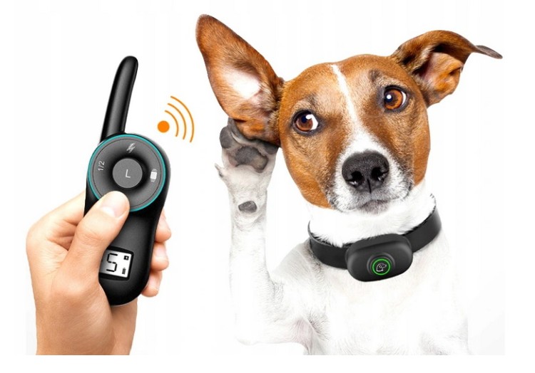 e256a4a243238af0dc6a3d951c8f