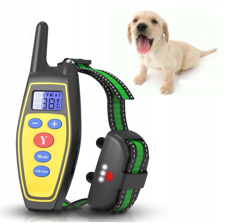 2a36f963473485da114a8028b84b