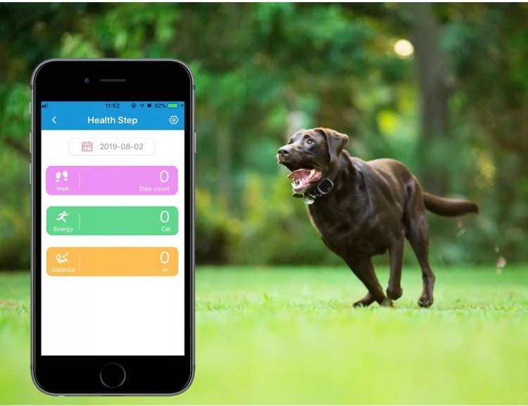 76d096f440bb9239196071eb47d8