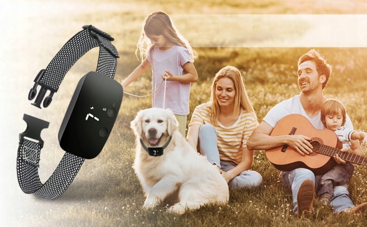 206594db4ed7a9eb4fd88fb02bfb