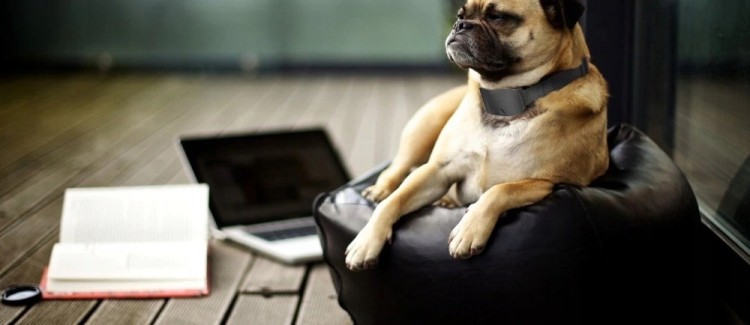 3d46ba77496dbca5dfa41c7bedbf