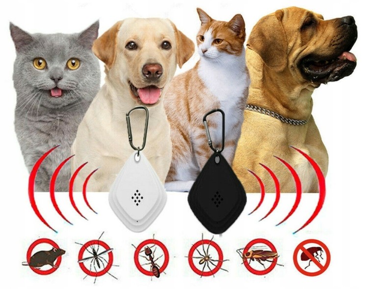 916b4ad04e2ba4df94fe0d6cca06