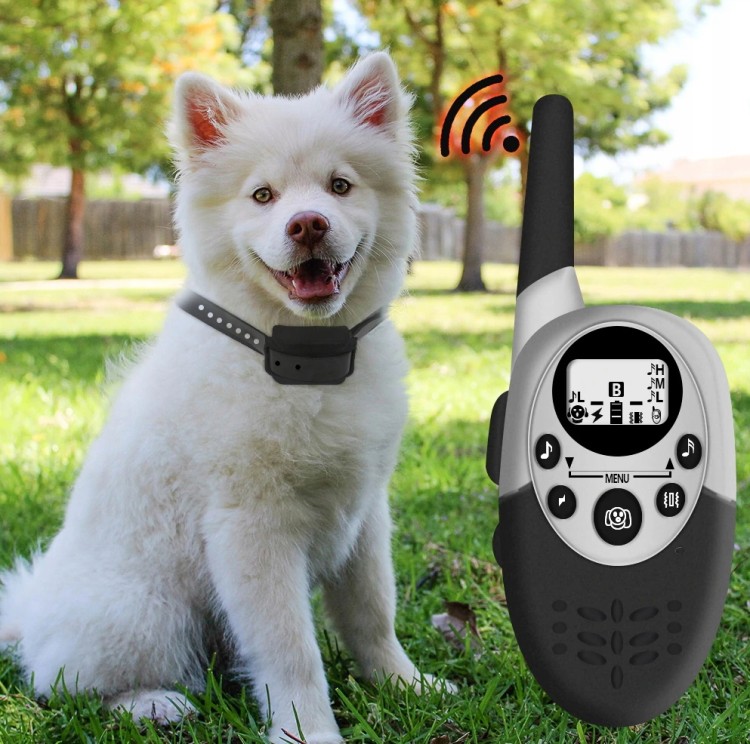 187564d64507bd97445249730cff