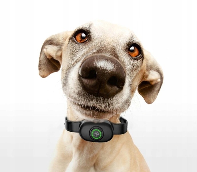 8a5f9c624edfb4ab603abe34b1bb