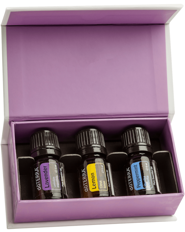 dottera zestaw dla początkujących 5ml.png