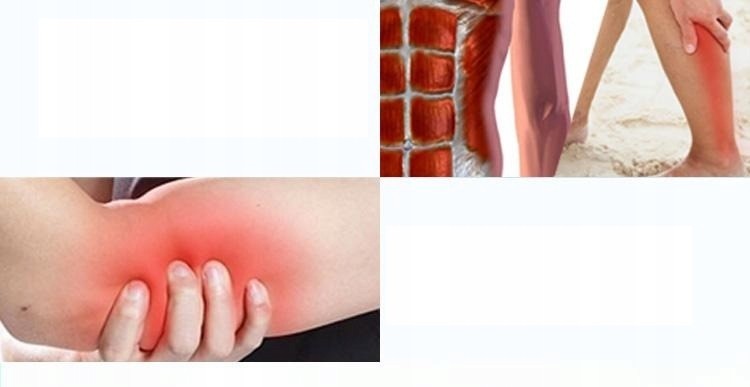 2cf33adc491b917fe590a950282d